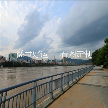 穿竖管竖板样式河道栏杆382-8